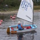 zdjęcie nr 31