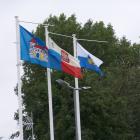 zdjęcie nr 87
