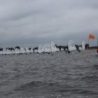 Fotka nr 1 z 21