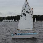 Fotka nr 2 z 21