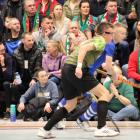 zdjęcie nr 15