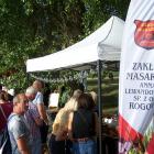 zdjęcie nr 44