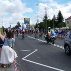 zdjęcie nr 16