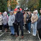 zdjęcie nr 49
