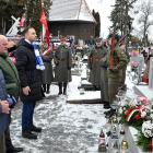zdjęcie nr 75