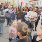 zdjęcie nr 17