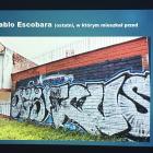 zdjęcie nr 17