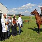 zdjęcie nr 105