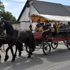zdjęcie nr 15