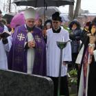 zdjęcie nr 11