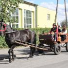 zdjęcie nr 14