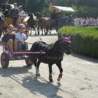 zdjęcie nr 34
