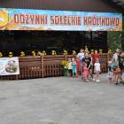 zdjęcie nr 15