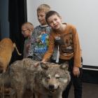 zdjęcie nr 13
