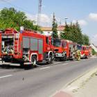 Fotka nr 1 z 9