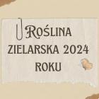 Fotka nr 2 z 7