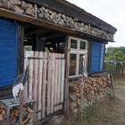 zdjęcie nr 13