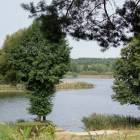 zdjęcie nr 12