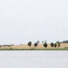 zdjęcie nr 39
