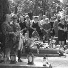 zdjęcie nr 24