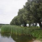 zdjęcie nr 8