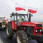 zdjęcie nr 28