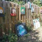 zdjęcie nr 18