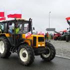 zdjęcie nr 11