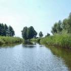 zdjęcie nr 8