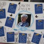 zdjęcie nr 15
