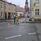 Fotka nr 1 z 5