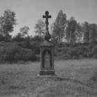 zdjęcie nr 28