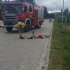 Fotka nr 1 z 6