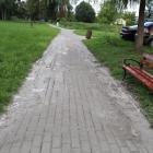 zdjęcie nr 8
