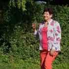 zdjęcie nr 55
