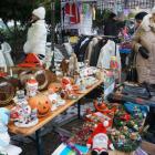Fotka nr 5 z 27