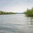 zdjęcie nr 40