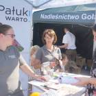 zdjęcie nr 41