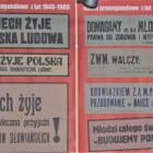 zdjęcie nr 31