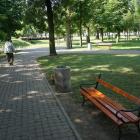 zdjęcie nr 8