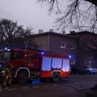 Fotka nr 2 z 9