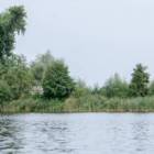 zdjęcie nr 43