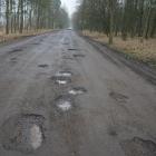 zdjęcie nr 7