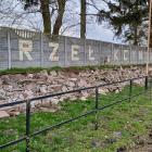 Fotka nr 1 z 2