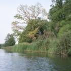 zdjęcie nr 50
