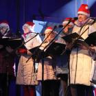 zdjęcie nr 13