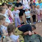 zdjęcie nr 43