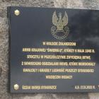 zdjęcie nr 16