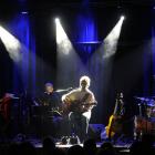 sting02