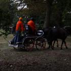 zdjęcie nr 141